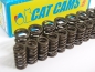 Preview: 1.8T Cat Cams Ventilfedern