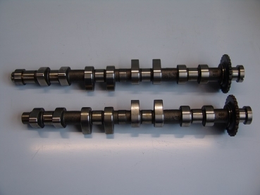 16VG60 Schrick Nockenwellen