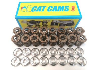 Cat Cams 16V Ventilfedern mit Titan Federteller