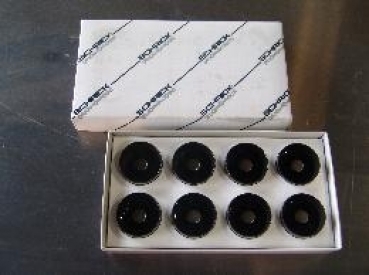G60 Schrick Hydrostössel