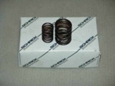 G60 Schrick Ventilfedern
