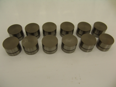 INA VR6 Motorsport Hydrostössel 12 Stk.