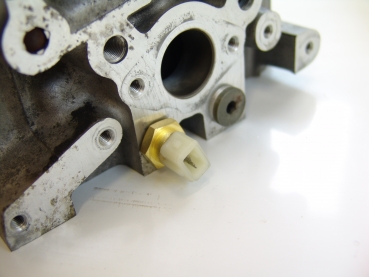 16VG60 Wassertemperaturfühler