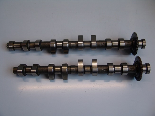 16VG60 Schrick Nockenwellen