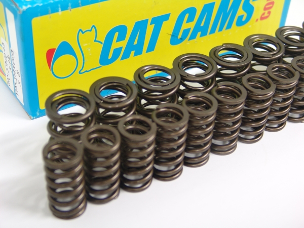 1.8T Cat Cams Ventilfedern