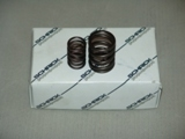 G60 Schrick Ventilfedern